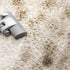 SIGNS THAT SUGGEST YOU THAT IT'S FINALLY THE TIME TO REPLACE YOUR RUG!