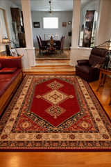 Turkish Shiraz 1M Collection Power Loom 7x10