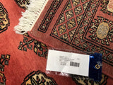 Pakistan Bokara Hand Knotted Wool 3x5