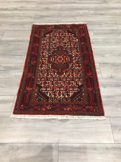 Persian Hamadan Hand Knotted Wool 3x5
