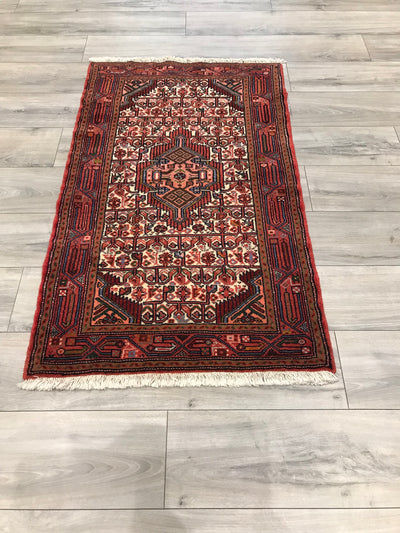 Persian Hamadan Hand Knotted Wool 3x5