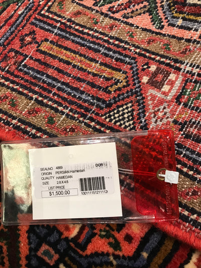 Persian Hamadan Hand Knotted Wool 3x5