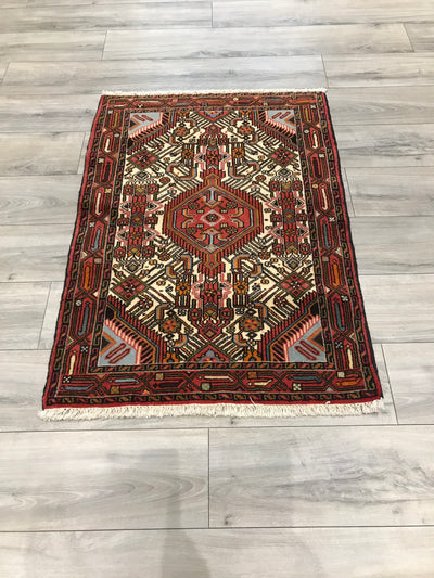 Persian Hamadan Hand Knotted Wool 3x4