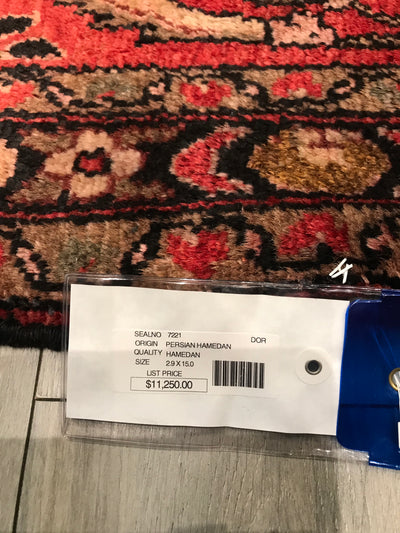 Persian Hamedan Sarouq Hand Knotted Wool 3x15