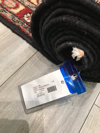 Persian Hamadan Hand Knotted Wool 3x22