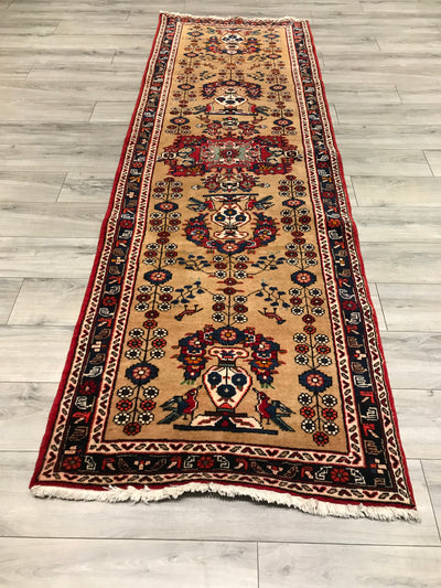Persian Hamedan Hand Knotted Wool 3x10