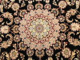 India Nain Hand Knotted Wool & Silk 6x9