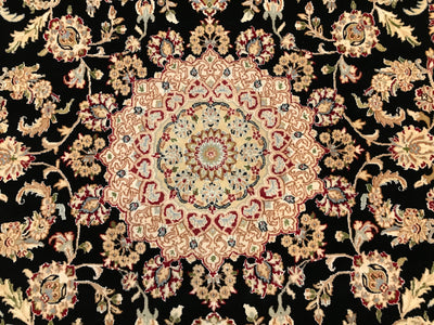 India Nain Hand Knotted Wool & Silk 8x10