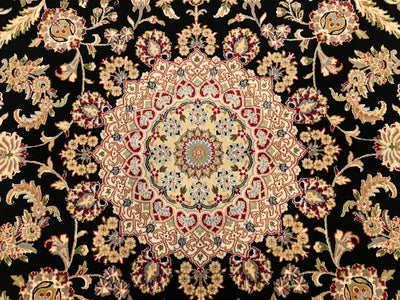 India Nain Hand Knotted Wool & Silk 9x12