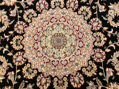 India Nain Hand Knotted Wool & Silk 10x14