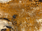 India New Modern HDFR Hand Knotted Wool 10x14