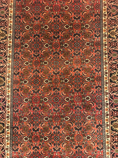 Iran Bijar Hand Knotted Wool 3x8