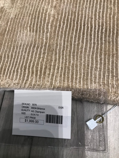 India Brilliance Viscous Champagne Hand Loom 5x7