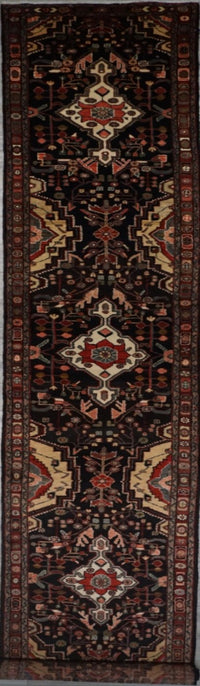 Persian Hamedan Hand Knotted Wool 3x22