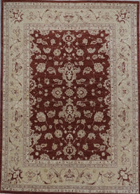 Pakistan Chobi Hand Knotted Wool 8x11