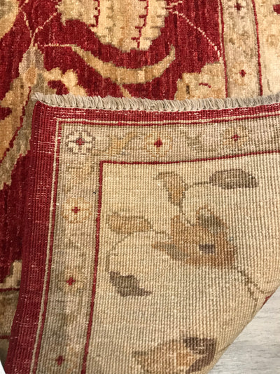 Pakistan Ziegler Hand Knotted Wool 4x6