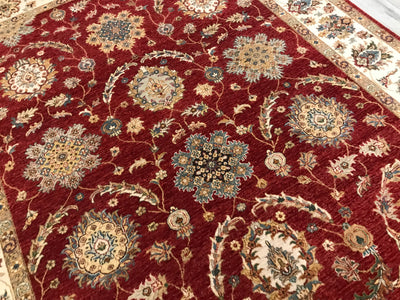 India Ziegler Hand Knotted Wool 8x10