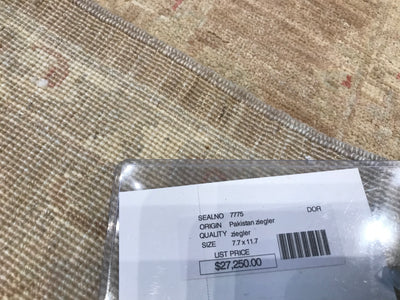 Pakistan Ziegler Hand Knotted Wool 9x12