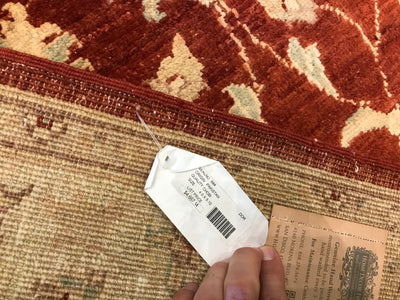 Pakistan Ziegler Hand Knotted Wool 4x6