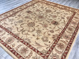 Pakistan Ziegler Hand Knotted Wool 8x10