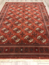 Afghanistan Bokara Hand Knotted Wool 5x7