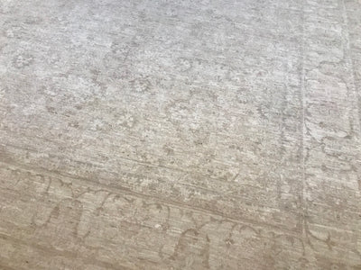 Pakistan Ziegler Hand Knotted  Wool 9x12