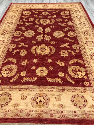 Pakistan Chobi Hand Knotted Wool 7x10