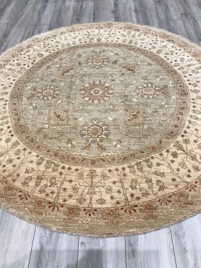 Pakistan Ziegler Hand Knotted Wool 6x6