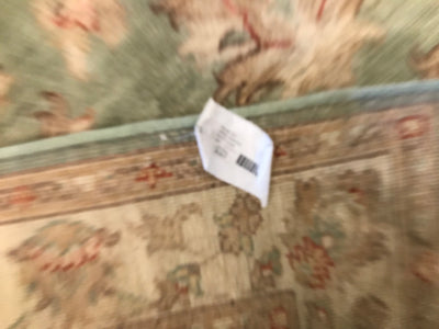 Pakistan Ziegler Hand Knotted Wool 4x6