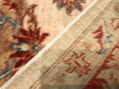 Pakistan Ziegler Hand Knotted Wool 9x11