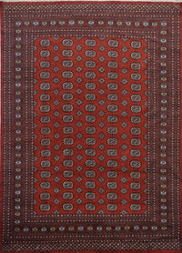 Pakistan Bokhara Hand Knotted Wool 9x12