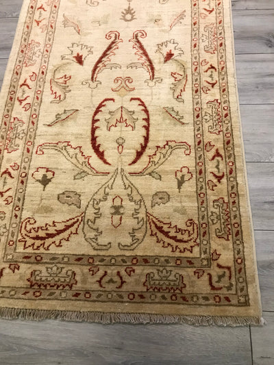 Pakistan Ziegler Hand Knotted Wool 3x14