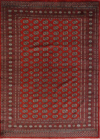 Pakistan Bokhara Hand Knotted Wool 8x10
