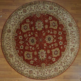 India Oasis Hand Knotted Wool 8X8