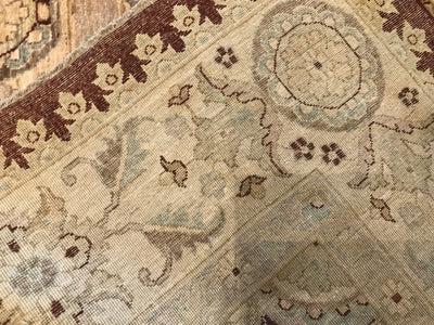 Pakistan Ziegler Hand Knotted Wool 8x12