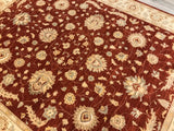 Pakistan Ziegler Hand Knotted Wool 8X10