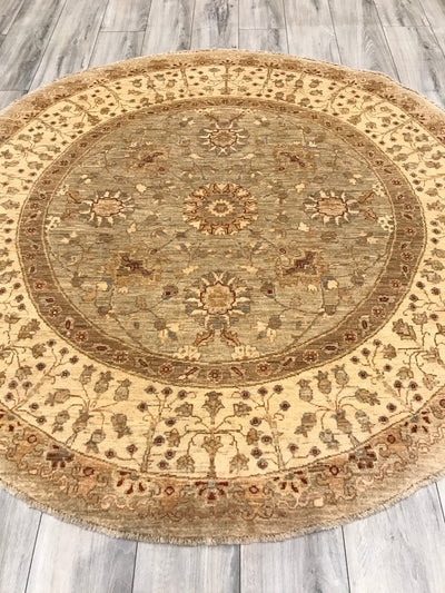 Pakistan Ziegler Hand Knotted Wool 6x6