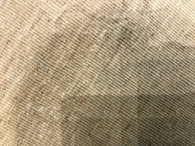 Pakistan Ziegler Hand Knotted Wool 10x14