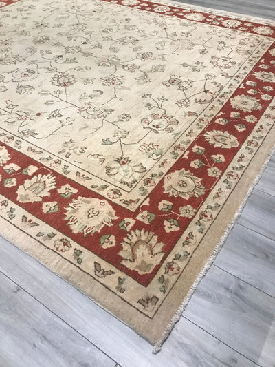 Pakistan Chobi Hand Knotted Wool 8x10