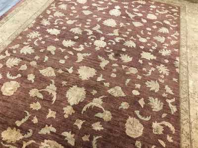 Pakistan Ziegler Hand Knottes Wool 9x12