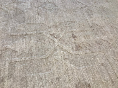 Pakistan Ziegler Hand Knotted Wool 9x12