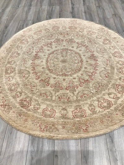 Pakistan Ziegler Hand Knotted Wool 6x6