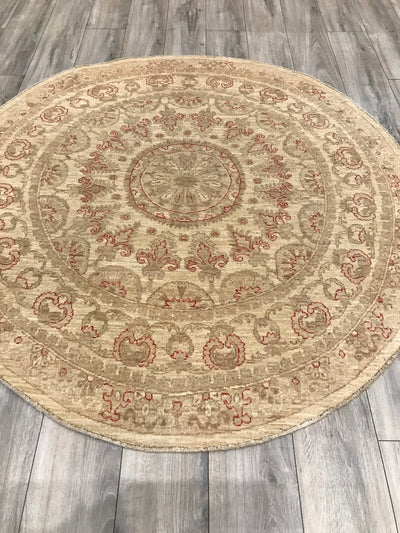 Pakistan Ziegler Hand Knotted Wool 6x6