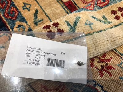 Pakistan Baktiari Hand Knotted wool 8x11