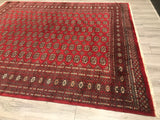 Pakistan Bokhara Hand Knotted Wool 8x10