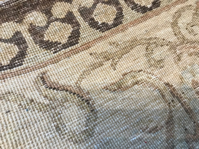 Pakistan Ziegler Hand Knotted Wool 9x12