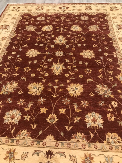 India Ziegler Hand Knotted Wool 8x10