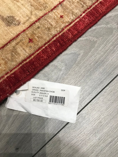 Pakistan Ziegler Hand Knotted Wool 4x6