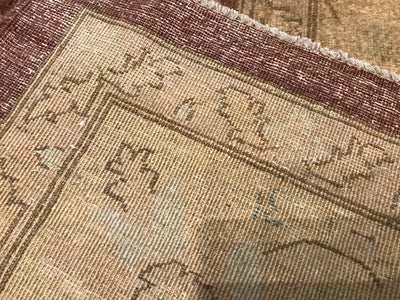 Pakistan Ziegler Hand Knottes Wool 9x12