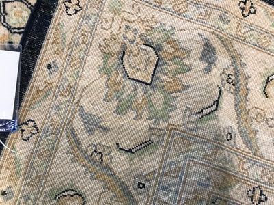 Pakistan Ziegler Hand Knotted Wool 8x10